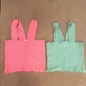The Impeccable Pig Pink and Mint Crop Tops